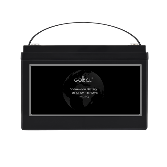 UPS Battery SIB12-100